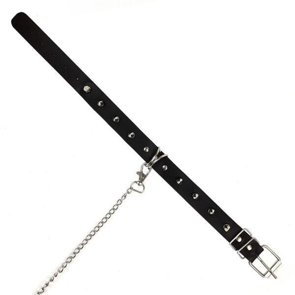 Нашийник з шипами та повідцем Art of Sex - Collar Spikes and Leash - Зображення 7