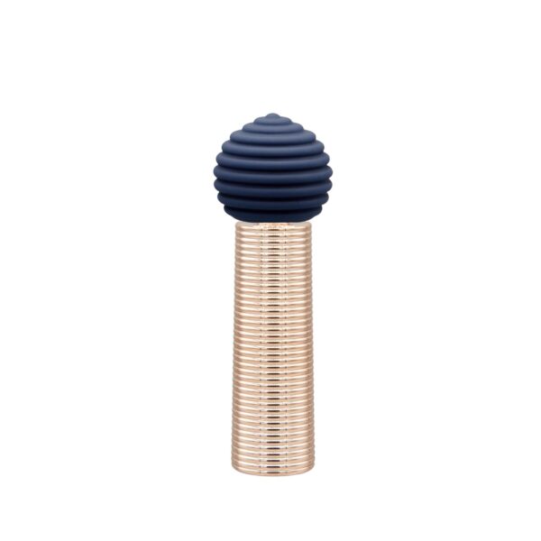 Вібромасажер Pillow Talk Secrets Desires 6-Piece Mini Massager Set - Navy - Зображення 3