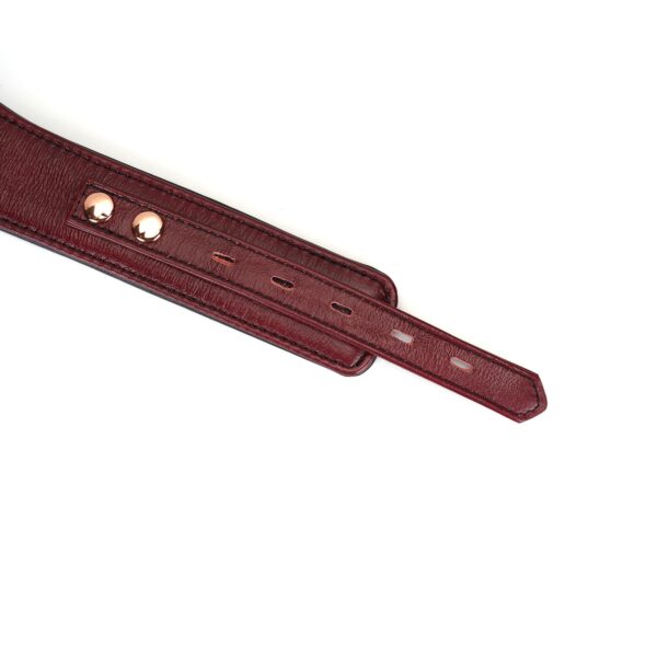 Шкіряний нашийник з повідцем Liebe Seele Wine Red Curved Collar, замок-сердечко - Зображення 7