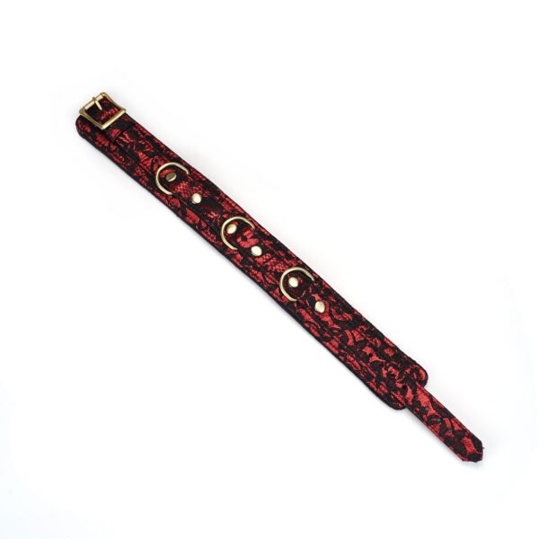 Нашийник з повідцем Liebe Seele Victorian Garden Collar with Leash - Зображення 4