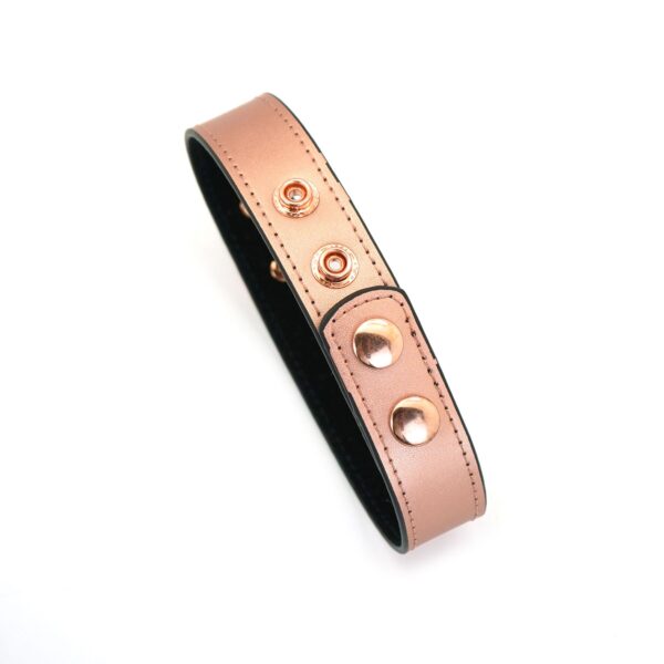 Нашийник із затискачами для сосків Liebe Seele Rose Gold Memory Collar with Nipple Clamps, шкіра - Зображення 11
