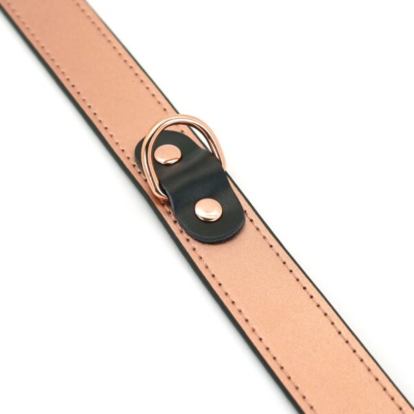 Нашийник із затискачами для сосків Liebe Seele Rose Gold Memory Collar with Nipple Clamps, шкіра - Зображення 5