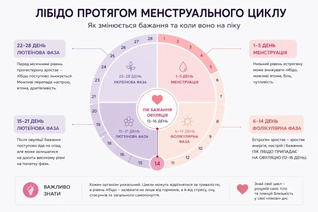 бідо й менструальний цикл — коли жінка найбільше хоче