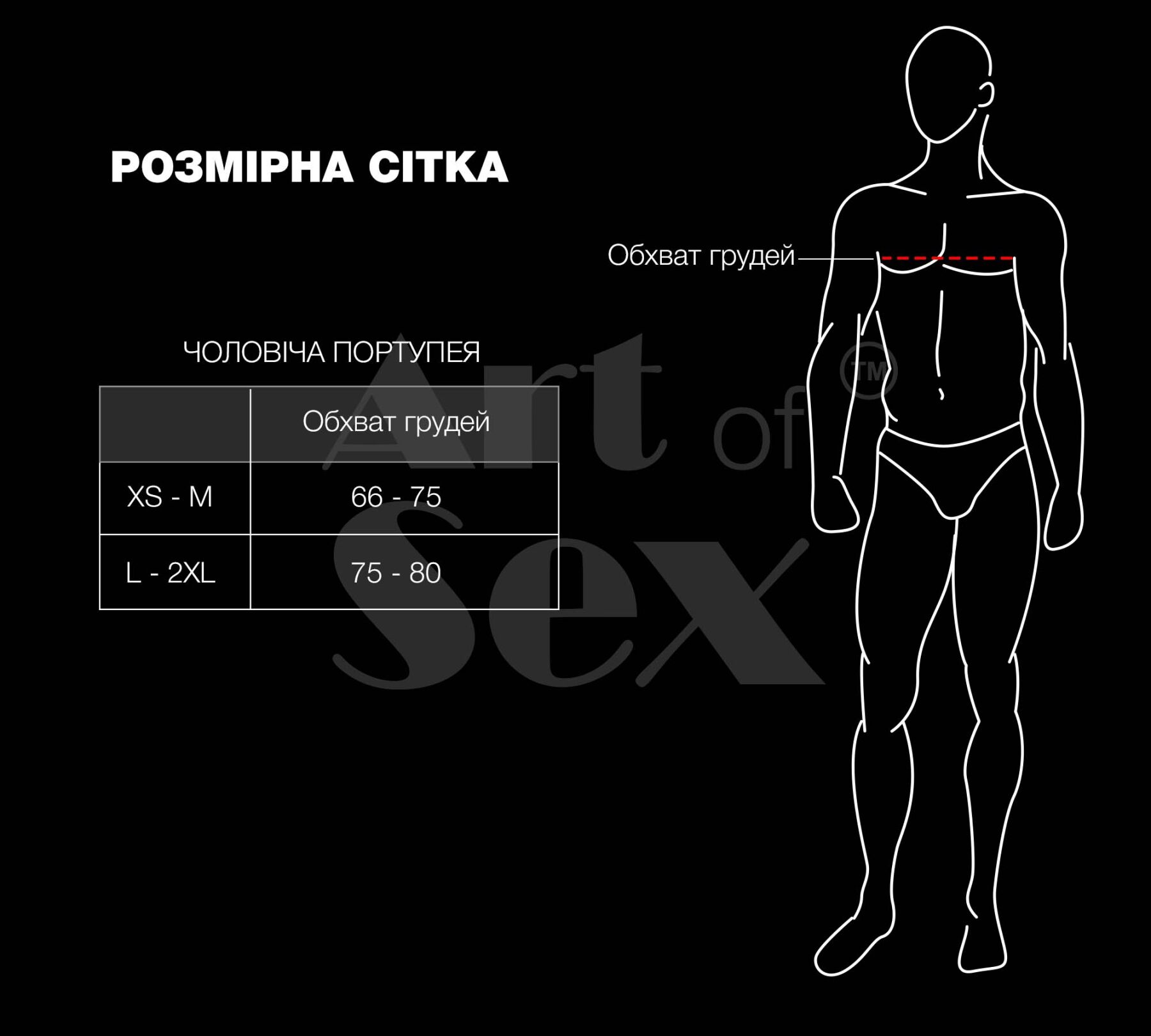 Чоловіча портупея Art of Sex - Spartacus, натуральна, колір чорний, розмір XS-M